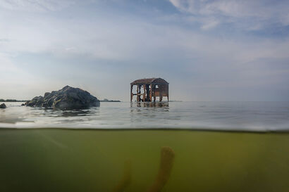 A pelo d\'acqua.   Il Delta del Po a 0m s.l.m. - a Photographic Art Artowrk by Luca Zonari Cane\'